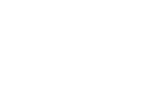 Toyota_wit